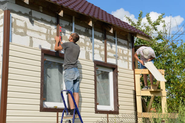 Best Stucco Siding  in Hohenwald, TN