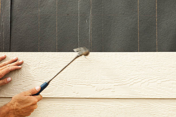 Best Composite Siding  in Hohenwald, TN